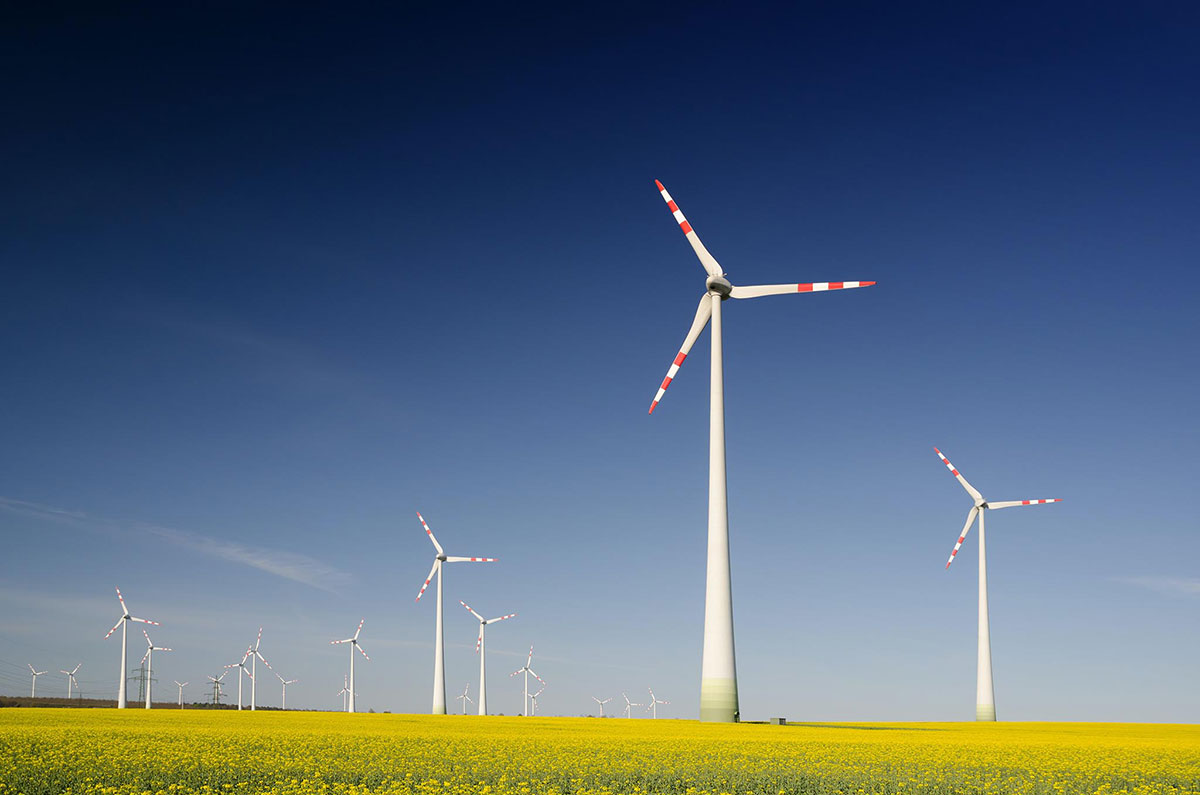 Energy Department Research Will Help Eagles Coexist with Wind Energy Deployment